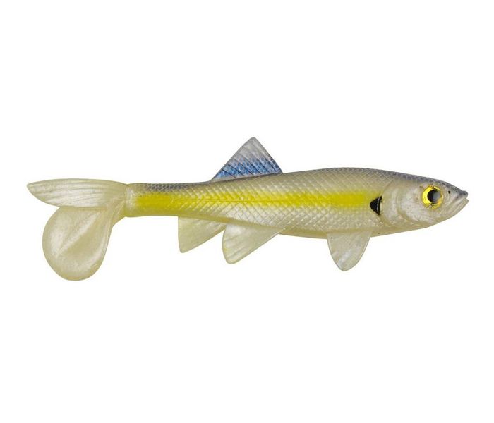 BERKLEY SICK FISH