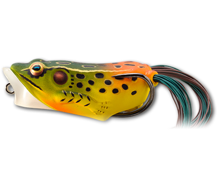 LIVE TARGET HOLLOW BODY FROG POPPER