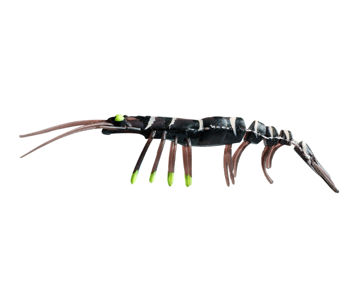 ZEREK LIVE SHRIMP HOT LEGS 3inch