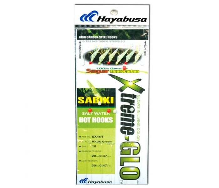 HAYABUSA SABIKI EX101