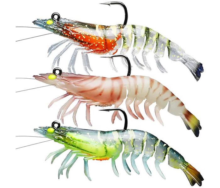 JHINGA LIVE SHRIMP