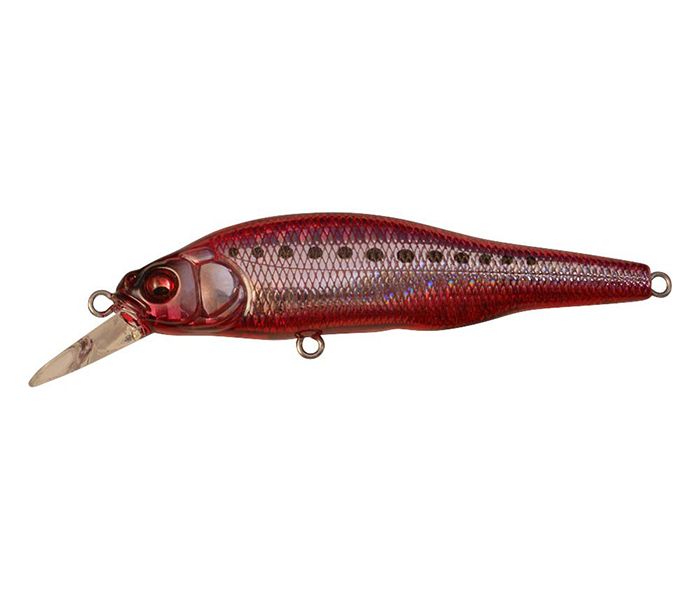 MEGABASS X-80 SW