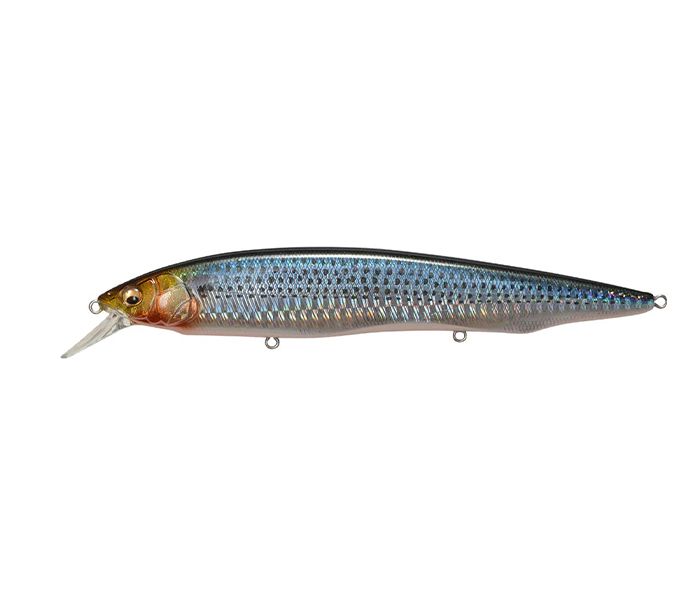 MEGABASS KANATA AYU SW