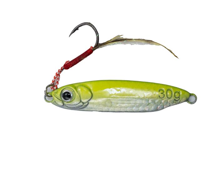 Gfin SHORE SHOOT jigs 10g