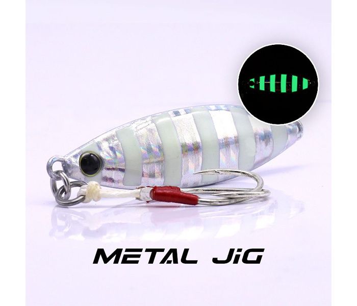 EUPRO SURE BAITS JIG 60G-  SB59