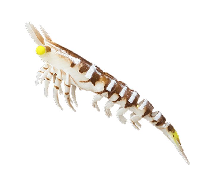 Gfin Invader Shrimp 3.5” 9CM