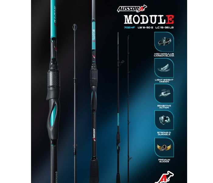 AUSSORA MODULE SPINNING ROD