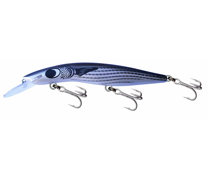 Gillies Classic 120 Barra +10