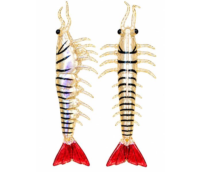 SCALESS JHINGA MAXX SHRIMP 150mm 6inch